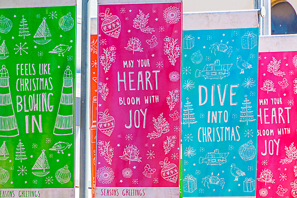 포토 JPG 해외이미지 나무 계절 행복 모래 바다 섬 여행 컨셉 크리스마스 겨울 휴가 새로움 기념 손바닥 선물 사람없음 장식 여름 축하 인사 뜨거움 신용카드 황금 호주 연도 브라질 이국적 해외포토 식물 손 기념일 감정 금융 예절 남아메리카 오세아니아 파일형식 이미지허브