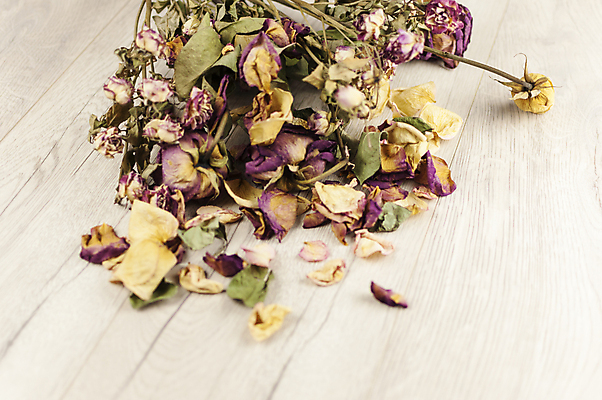 포토 JPG 해외이미지 식물 디자인 꽃잎 꽃 분홍색 꽃다발 결혼 백그라운드 잎 꽃무늬 자연 탁자 표면 날씨 건조 발렌타인데이 선물 사랑 사람없음 목재 장식 뷰티 장미 갈색 우주 낭만 수확 벚꽃 가을 시골 축하 인사 정상 심볼 복고 내추럴 그런지 옛날 카피스페이스 해외포토 나무 계절 감정 컬러 가구 컨셉 무늬 농업 재료 데이이벤트 이벤트 공백 예절 생태계 파일형식 이미지허브