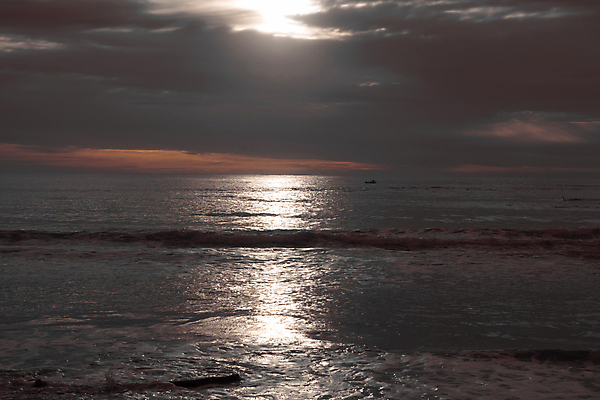 포토 JPG 해외이미지 모래 파도 바다 여행 자연 조류 낚시 휴가 어류 사람없음 야외 물 햇빛 반사 여행객 환경 사진촬영 일몰 호주 태평양 암초 해외포토 자연요소 동물 레저 사람 태양 노을 촬영 수중동물 오세아니아 생태계 파일형식 이미지허브