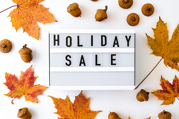 포토 JPG 해외이미지 단풍 낙엽 실내 사람없음 세일 흰배경 도토리 라이트박스 홀리데이 해외포토 백그라운드 잎 휴가 내부 견과류 흰색 파일형식 이미지허브