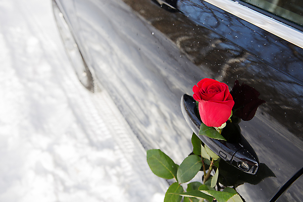 포토 JPG 해외이미지 1 전통 기념일 꽃 감정 결혼 컨셉 겨울 창문 교통시설 자동차 자연 결혼식 휴가 아이디어 발렌타인데이 손잡이 선물 사랑 사람없음 가로 빨간색 뷰티 장미 반사 문 우주 검은색 놀람 낭만 축하 인사 고급 우아함 심볼 싱글 잠금 특별함 해외포토 식물 계절 육상교통 컬러 교통 데이이벤트 표정 이벤트 예절 시설 생태계 보안 파일형식 이미지허브