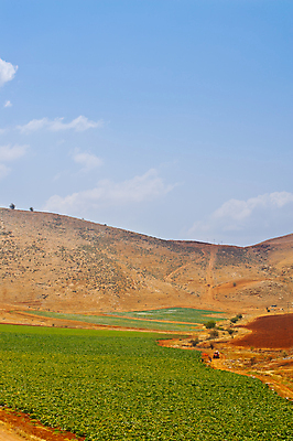 포토 JPG 해외이미지 식물 구름 음식 모래 잎 밭 농업 채소 자연 호박 산 건조 씨앗 풍경 사람없음 야외 초록색 파란색 농장 농경지 골짜기 봄 사막 수확 성장 시골 신선 뜨거움 언덕 유기농 먼지 트랙터 비타민 스쿼시 내추럴 밭일 생태학 이스라엘 채식주의자 팔레스타인 세련 해외포토 자연요소 웰빙 계절 교육 산업 스포츠 컬러 중동 구기 농기계 생태계 채식 특수차량 서아시아 영양소 파일형식 이미지허브