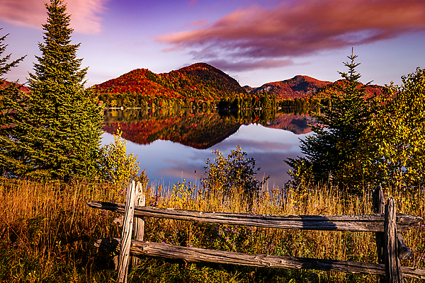 포토 JPG 해외이미지 나무 호수 캐나다 사람없음 물 햇빛 반사 숲 해외포토 자연요소 식물 북아메리카 태양 파일형식 이미지허브