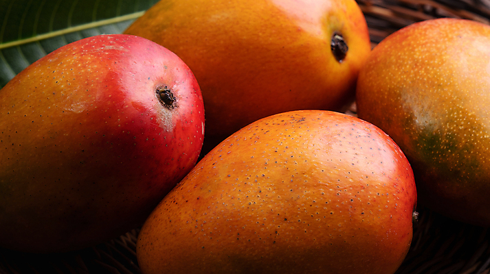 포토 JPG 해외이미지 스튜디오촬영 근접촬영 사람없음 빨간색 망고 해외포토 뷰포인트 컬러 실내 열대과일 파일형식 이미지허브
