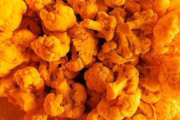 포토 JPG 해외이미지 나무 계절 음식 여행 잎 채소 오렌지 자연 산 사람없음 야외 초록색 빛 햇빛 태양 농장 노란색 환경 낭만 황금 숲 속도 유기농 질감 내추럴 전국 해외포토 자연요소 식물 웰빙 컬러 컨셉 농업 과일 생태계 파일형식 이미지허브