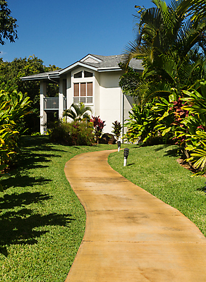 포토 JPG 해외이미지 나무 식물 외관 길 여행 백그라운드 잎 건축양식 자연 호텔 휴가 주택 손바닥 사람없음 야외 건물 태양 정원 맑음 산책 재산 오솔길 빌라 휴양지 조경 내추럴 파라다이스 해외포토 자연요소 건축물 손 건축 숙소 날씨 휴식 금융 장소 생태계 파일형식 이미지허브