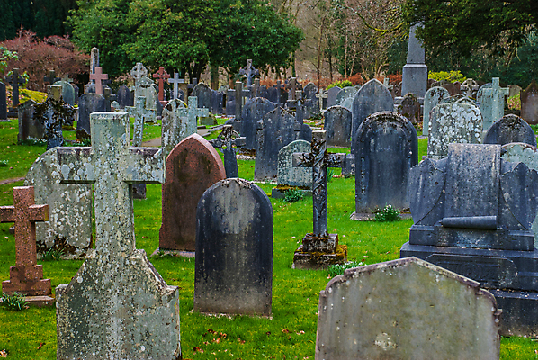 포토 JPG 해외이미지 나무 종교 사람없음 평화 죽음 역사 옛날 해외포토 식물 컨셉 파일형식 이미지허브