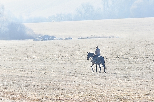 포토 JPG 해외이미지 동물 백인 라이프스타일 드레스 여자 행복 스포츠 백그라운드 겨울 밭 자연 하늘 바람 휴가 사람 성인 사람없음 야외 금발 뷰티 농장 유행 낭만 추위 수확 흰색 승마 승차 숲 서리 라이더 해외포토 자연요소 서양인 헤어스타일 옷 계절 감정 컬러 컨셉 농업 모션 날씨 생활 생태계 파일형식 이미지허브