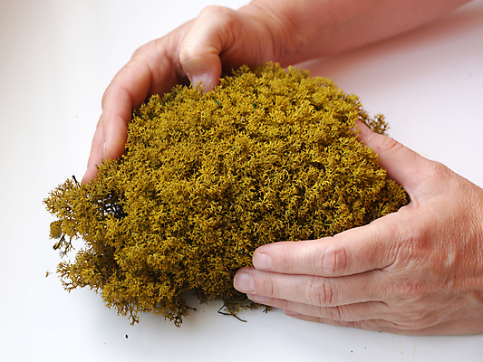 포토 JPG 해외이미지 식물 손 디자인 여자 벽 백그라운드 컨셉 잎 패턴 자연 벽지 표면 건강 관리 이끼 사람 사람없음 내부 장식 초록색 컬러풀 노란색 환경 터치 신선 천 에코 유기농 생태계 질감 조경 내추럴 고립 생태학 해외포토 웰빙 교육 컬러 무늬 신체부위 직물 파일형식 이미지허브