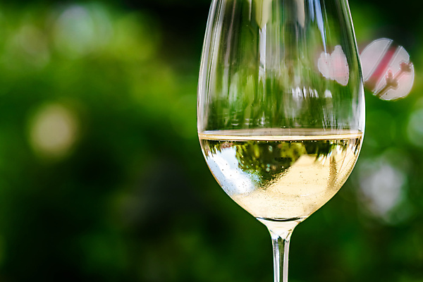 포토 JPG 해외이미지 주간 와인잔 한잔 사람없음 야외 아웃포커스 와인 화이트와인 해외포토 자연요소 1 술잔 주류 촬영기법 파일형식 이미지허브