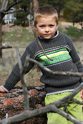 포토 JPG 해외이미지 나무 백인 계절 남자 어린이 밭 장난 자연 놀이 한명 사람 소년 야외 초록색 금발 뷰티 봄 소나무 숲 작음 시원함 니트 나무껍질 저지 해외포토 서양인 식물 1 헤어스타일 컬러 상의 농업 껍질 크기 생태계 파일형식 이미지허브