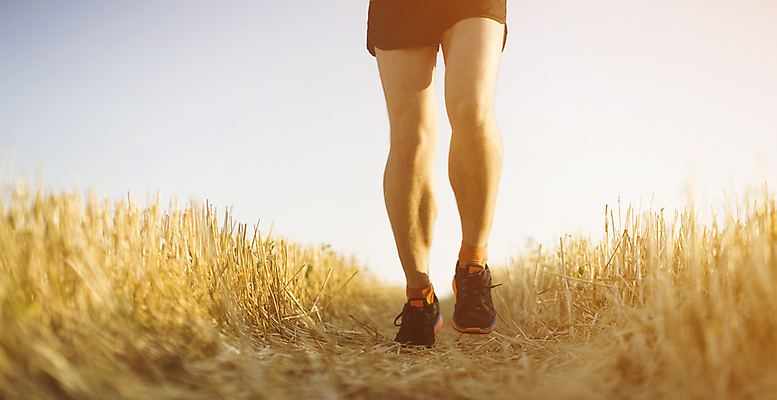 포토 JPG 해외이미지 라이프스타일 남자 실루엣 도로 스포츠 신발 밭 모션 하늘 성공 아침 근육 휴식 거리 건강 한명 사람 성인 야외 달리기 조깅 운동 햇빛 노란색 일출 일몰 에너지 자유 밀 연습 속도 마라톤 느림 달리기선수 무료 해외포토 주간 1 길 컬러 컨셉 농업 교통시설 곡류 촬영기법 경기 생활 태양 노을 육상스포츠 육상선수 파일형식 이미지허브