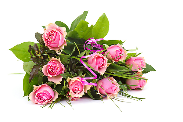 포토 JPG 해외이미지 식물 기념일 꽃잎 꽃 분홍색 꽃다발 결혼 백그라운드 잎 꽃무늬 자연 벽지 결혼식 엄마 발렌타인데이 선물 사랑 사람없음 장식 장미 귀여움 침묵 성장 흰색 축하 신선 생일 개화 다발 기회 향기 냄새 열정 카피스페이스 해외포토 감정 컬러 컨셉 무늬 가족 데이이벤트 이벤트 소리 공백 생태계 파일형식 이미지허브