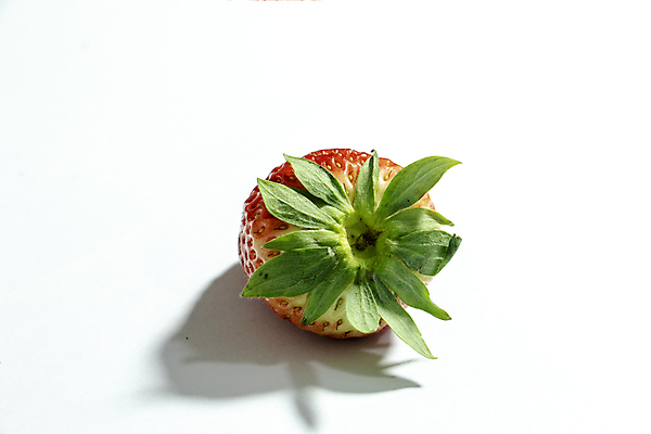 포토 JPG 해외이미지 음식 채소 과일 사람없음 망고 국산 해외포토 열대과일 파일형식 이미지허브