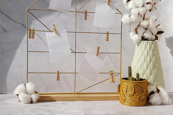 포토 JPG 해외이미지 화분 종이 선인장 실내 사람없음 인테리어 꽃병 나무집게 목화꽃 선인장화분 목업 목화솜 해외포토 식물 디자인 꽃 집게 내부 목재 솜 파일형식 이미지허브