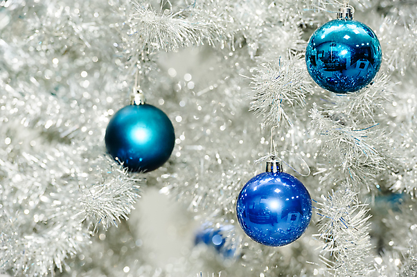 포토 JPG 해외이미지 나무 전통 계절 백그라운드 크리스마스 겨울 전구 공 추상 휴가 새로움 새해 사람없음 장식 파란색 빛 크리스마스트리 얼음 축제 활발 장식볼 흰색 나뭇가지 축하 은색 12월 연도 묘사 오브젝트 전나무 여의주 인공 해외포토 자연요소 식물 기념일 컬러 컨셉 무늬 날짜 파일형식 이미지허브