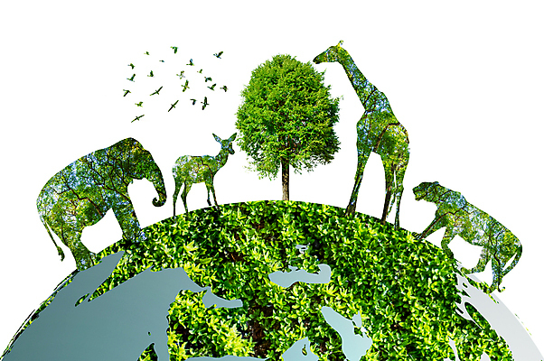 포토 JPG 해외이미지 나무 식물 동물 디자인 지구 야생동물 음식 백그라운드 컨셉 잎 일러스트 자연 추상 사슴 코끼리 동물원 사람 풍경 사람없음 야외 목재 초록색 여름 세계 글로벌 지구본 환경 행성 축하 호랑이 보호 숲 기린 사인 에코 육식동물 내추럴 고립 생태학 해외일러스트 계절 교육 컬러 무늬 재료 포유류 우주 생태계 파일형식 이미지허브