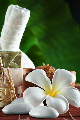 포토 JPG 해외이미지 잎 신체 가방 자연 휴식 건강 사람없음 치료 뷰티 약 스파 침묵 목욕 화장품 활발 마사지 허브 피부관리 아로마 소금 비누 아로마테라피 테라피 내추럴 돌봄 해외포토 식물 잡화 컨셉 의학 모션 위생용품 소리 청결 생태계 파일형식 이미지허브