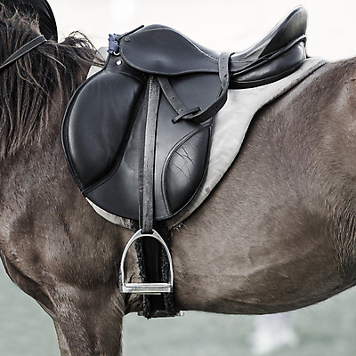 포토 JPG 해외이미지 동물 전통 영어 스포츠 장갑 백그라운드 의자 포유류 자연 사람없음 파란색 농장 갈색 검은색 가축 경쟁 목장 장비 수확 흰색 레이싱 만 승마 우아함 승차 가죽 방향 갈기 안장 숨김 패드 굴레 스트랩 해외포토 레이스천 문자 잡화 컬러 가구 컨셉 농업 모션 시합 직물 생태계 파일형식 이미지허브