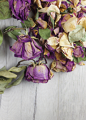 포토 JPG 해외이미지 식물 디자인 꽃잎 꽃 종이 분홍색 꽃다발 결혼 백그라운드 잎 꽃무늬 자연 탁자 엄마 표면 날씨 건조 발렌타인데이 선물 사랑 사람없음 목재 장식 상자 뷰티 장미 갈색 우주 낭만 수확 벚꽃 가을 시골 축하 인사 신용카드 정상 심볼 복고 내추럴 그런지 옛날 카피스페이스 해외포토 나무 계절 감정 컬러 가구 컨셉 무늬 농업 재료 가족 데이이벤트 이벤트 금융 공백 예절 생태계 파일형식 이미지허브