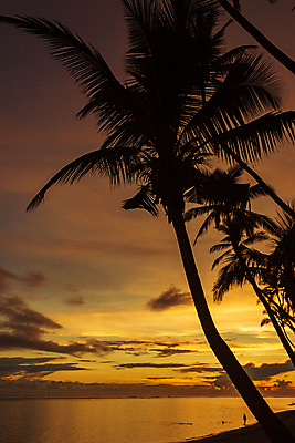 포토 JPG 해외이미지 실루엣 오렌지 사람 사람없음 비키니 여행객 휴양지 해외포토 수영복 과일 촬영기법 장소 파일형식 이미지허브