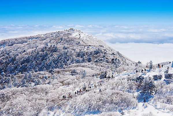 포토 JPG 해외이미지 나무 공원 백그라운드 겨울 자연 벽지 하늘 날씨 스키 산 서울 한국 요정 이야기 풍경 사람없음 태양 맑음 얼음 추위 닫기 숲 묘사 언덕 스키선수 전국 눈내림 해외포토 자연요소 식물 계절 공공시설 아시아 모션 겨울스포츠 운동선수 눈_날씨 생태계 파일형식 이미지허브
