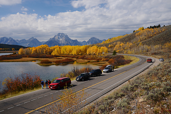 포토 JPG 해외이미지 공원 도로 잎 곡선 교통시설 자연 산 사람없음 노란색 미국 서쪽 와이오밍 전국 해외포토 식물 공공시설 길 선 컬러 교통 북아메리카 방향 시설 생태계 파일형식 이미지허브