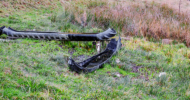 포토 JPG 해외이미지 동물 밭 농업 포유류 자연 육류 풍경 초원 사람없음 야외 초록색 물 여름 파란색 강 농장 농경지 갈색 마을 환경 가축 목장 소고기 흰색 시골 연못 소 군중 방목 장면 내추럴 밭일 찰과상 해외포토 자연요소 계절 산업 컬러 식재료 사람 축산업 상처 생태계 파일형식 이미지허브
