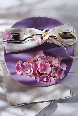 포토 JPG 해외이미지 식물 접시 꽃잎 꽃 분홍색 포크 자연 탁자 사람없음 여름 뷰티 정원 봄 흐름 신선 우아함 향기 수국 내추럴 해외포토 식기 계절 컬러 가구 컨셉 생태계 냄새 파일형식 이미지허브