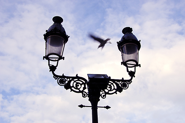 포토 JPG 해외이미지 동물 디자인 실루엣 유럽 여행 백그라운드 날개 전구 모션 자연 유리 갈매기 조류 하늘 거리 사람없음 장식 빛 금속 장비 에너지 수확 램프 도시 야간 저녁 오브젝트 복고 옛날 해외포토 자연요소 나라 농업 재질 조명 촬영기법 생태계 파일형식 이미지허브