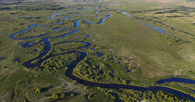 포토 JPG 해외이미지 나무 식물 계절 호수 패턴 밭 자연 안테나 풍경 초원 사람없음 야외 초록색 물 여름 강 환경 계곡 봄 연못 숲 생태학 해외포토 자연요소 교육 컬러 무늬 농업 통신 생태계 파일형식 이미지허브