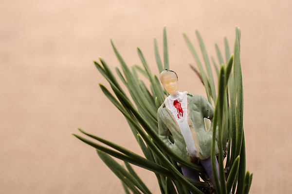 포토 JPG 해외이미지 잎 실내 사람없음 아웃포커스 미니어처 인물미니어처 갈색배경 해외포토 식물 백그라운드 촬영기법 내부 갈색 모형 파일형식 이미지허브