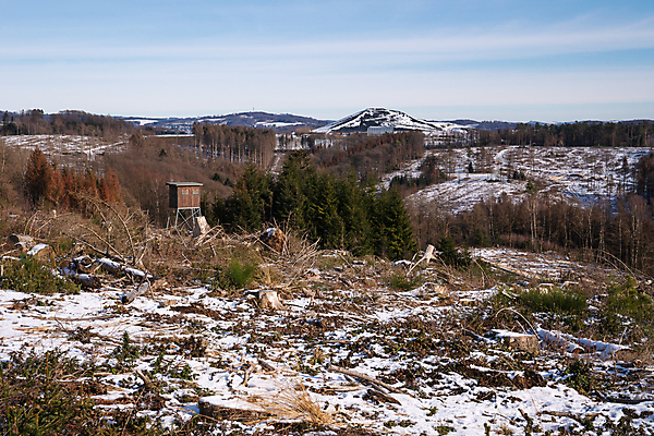 포토 JPG 해외이미지 나무 식물 유럽 여행 겨울 자연 하늘 독일 파노라마 사람없음 야외 환경 트래킹 하이킹 추위 시골 숲 생태계 내추럴 해외포토 계절 나라 레저 촬영기법 파일형식 이미지허브