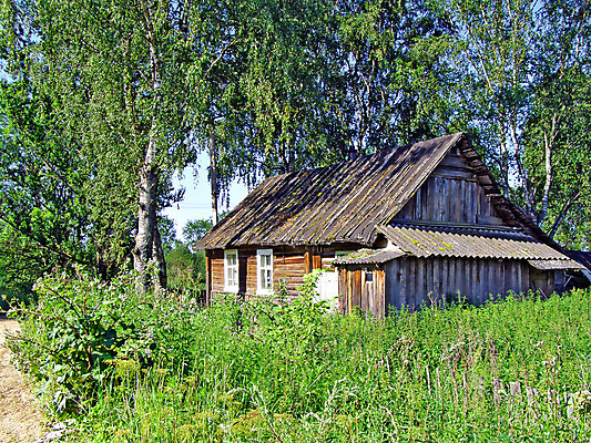 포토 JPG 해외이미지 주간 나무 주택 사람없음 야외 시골 해외포토 자연요소 식물 건물 파일형식 이미지허브