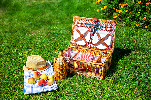 포토 JPG 해외이미지 주간 접시 포크 잔디 사람없음 야외 소풍 숟가락 나이프 병 사과 천 중절모 체크무늬 소풍바구니 해외포토 자연요소 식물 모자_잡화 식기 무늬 과일 수저 야외활동 바구니 직물 칼 파일형식 이미지허브