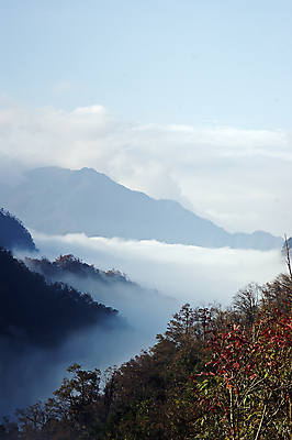 포토 JPG 해외이미지 나무 구름 산 사람없음 초록색 태양 일출 중국 안개 개울 숲 대나무 에코 해외포토 자연요소 식물 아시아 컬러 날씨 강 노을 환경 파일형식 이미지허브