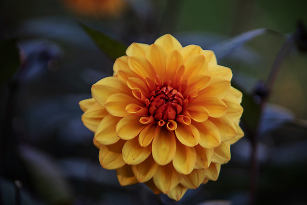 포토 JPG 해외이미지 공원 꽃 사람없음 건물 빨간색 초록색 파란색 노란색 해외포토 식물 건축물 공공시설 컬러 파일형식 이미지허브