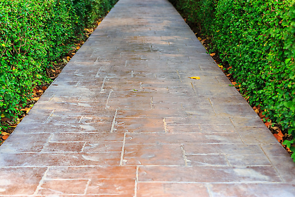 포토 JPG 해외이미지 라이프스타일 계절 공원 도로 길 백그라운드 잎 자연 사람없음 야외 초록색 햇빛 환경 정원 맑음 봄 산책 오솔길 땅 내추럴 방법 해외포토 식물 공공시설 컬러 교통시설 날씨 휴식 생활 태양 생태계 파일형식 이미지허브