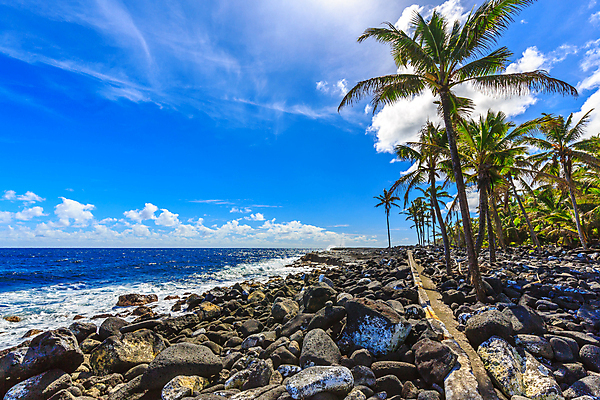 포토 JPG 해외이미지 나무 구름 북아메리카 자연 하늘 사람없음 야외 가로 야자수 미국 하와이 태평양 용암 명승지 카피스페이스 해외포토 자연요소 식물 바다 아메리카 풍경 공백 생태계 파일형식 이미지허브