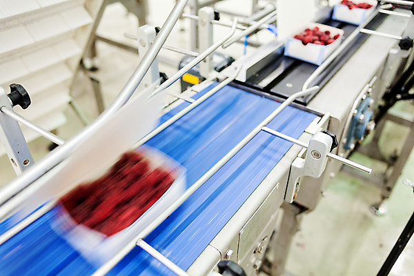 포토 JPG 해외이미지 공장 사람없음 냉동 기계 제조 소프트포커스 속도 담기 산딸기 포장용기 식품공장 냉동식품 해외포토 음식 과일 공업 모션 촬영기법 포장재료 파일형식 이미지허브