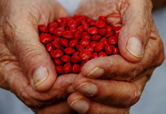 포토 JPG 해외이미지 백인 손 문화 비즈니스 통신 성공 함께함 사람 사람없음 빨간색 친구 농작물 공백 엄지손가락 비즈니스맨 그룹 오브젝트 사인 팔 보여주기 고립 지원 해외포토 서양인 남자 컬러 컨셉 농업 손가락 관계 모션 신체부위 직장인 파일형식 이미지허브