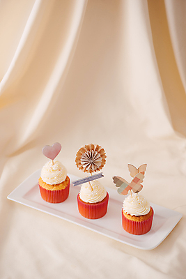 포토 JPG 해외이미지 접시 크리스마스 디저트 실내 사람없음 하트 달콤 컵케이크 천 흰배경 나비장식 해외포토 모양 식기 기념일 음식 백그라운드 내부 장식 케이크 흰색 직물 맛 파일형식 이미지허브