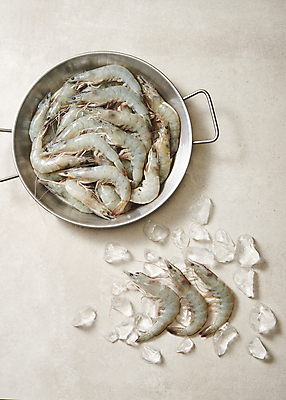 포토 JPG 스튜디오촬영 식재료 회색배경 실내 사람없음 하이앵글 얼음 신선 냄비 대하 담기 제철 제철음식 생새우 국내포토 자연요소 음식 뷰포인트 백그라운드 모션 어패류 새우 내부 회색 솥 파일형식