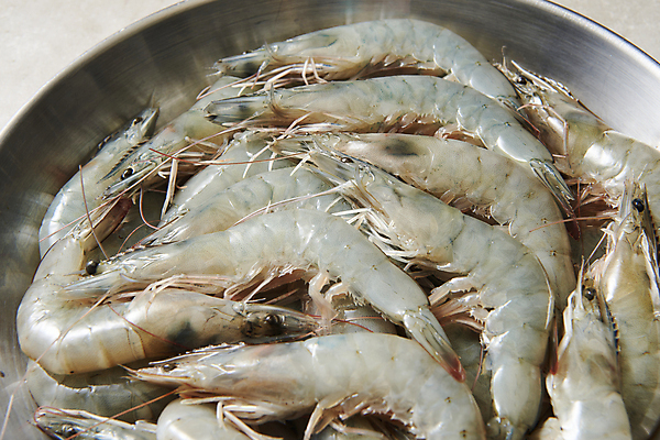 포토 JPG 스튜디오촬영 접시 식재료 실내 사람없음 신선 대하 가득함 담기 제철 제철음식 생새우 국내포토 식기 음식 모션 어패류 새우 내부 파일형식