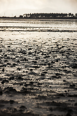 포토 JPG 주간 겨울 사람없음 야외 전라남도 갯벌 서해 신안 겨울풍경 국내포토 자연요소 계절 바다 풍경 전라도 파일형식