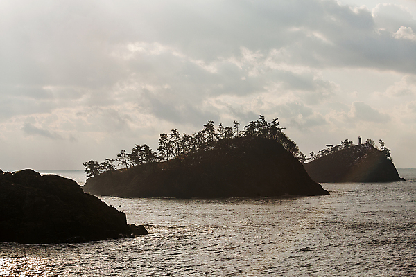 포토 JPG 주간 나무 구름 섬 겨울 하늘 사람없음 야외 전라남도 서해 신안 겨울풍경 국내포토 자연요소 식물 계절 바다 풍경 전라도 파일형식