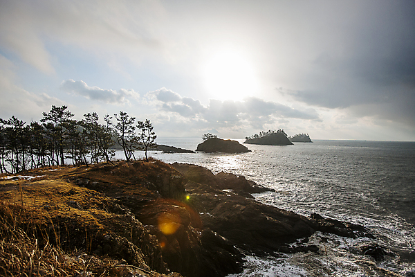 포토 JPG 주간 나무 구름 섬 겨울 하늘 사람없음 야외 햇빛 전라남도 서해 신안 겨울풍경 국내포토 자연요소 식물 계절 바다 풍경 태양 전라도 파일형식