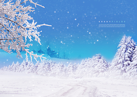 PSD 나무 편집이미지 하늘색 설경 겨울 하늘 눈꽃 사람없음 나뭇가지 눈 눈내림 겨울풍경 설산 눈덮임 이미지편집 자연요소 식물 계절 컨셉 날씨 산 눈_날씨 풍경 파란색 파일형식
