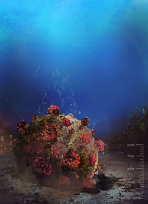 PSD 바다 일러스트 사람없음 파란색 심해 바닷속 바이러스 끝 사회이슈 공기방울 물이끼 수심 코로나바이러스 델타변이바이러스 국내일러스트 컬러 컨셉 수중 파일형식