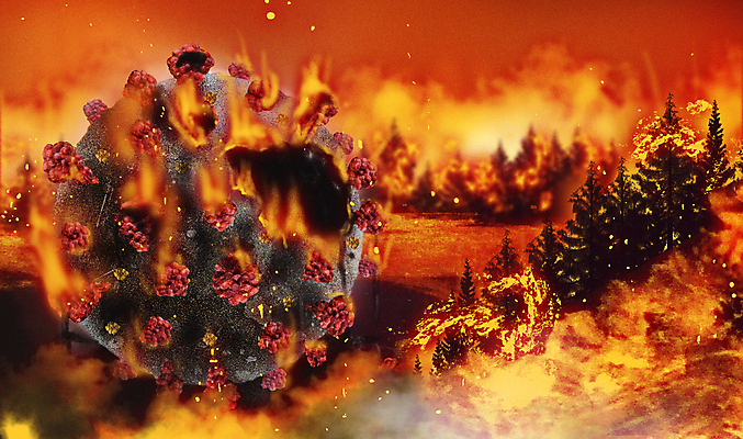 PSD 나무 일러스트 불 산 사람없음 주황색 손상 구멍 바이러스 끝 연기 사회이슈 화재 산불 소멸 코로나바이러스 델타변이바이러스 국내일러스트 자연요소 식물 컬러 컨셉 사건 파일형식